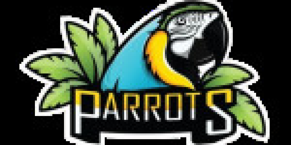 Understanding the African Grey Parrot Diet: A Comprehensive Guide