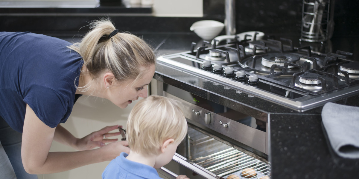 10 Intergrated Cooker Tricks All Experts Recommend